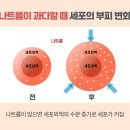 티.케이 이미지