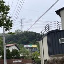 스테이 댕댕 이미지