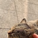 금촌프라자약국 네이버블로그