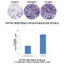 녹색개발(주) 이미지