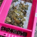 그늘막126 이미지