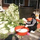 보경사고향식당 이미지