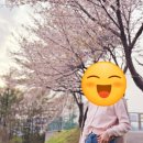 핍티식스