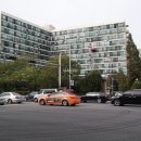 강남-177 이미지