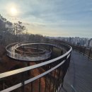 양화초등학교 | 서울 야경 숨은 명소 찾았다? 요즘 사람 몰린다는 용왕산 스카이워크 다녀온 후기