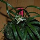 자산동244 이미지