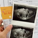범스피자 이미지