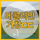 광산 친환경대중골프장 이미지