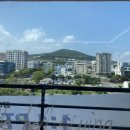 웰니스717 이미지