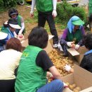 독산1동 분소 이미지