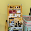 댕댕키친 | 목포 애견 수제간식 댕댕키친 강아지 펫푸드 끝판왕