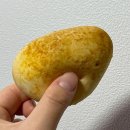 정남프라자 | 홍대 팝업 정남미명과 구황작물빵 가격, 맛 내돈내산 후기