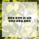 중부대로4 | 마음이 깃털처럼 가벼워진 이야기
