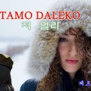 [밤의 플랫폼] Tamo Daleko(타모다레코) - 조르제 마린코비치 이미지