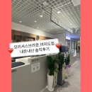모리셔스브라운여의도 | 모리셔스브라운 여의도점 내돈내산 솔직후기