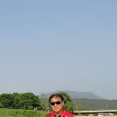 세원약국 이미지