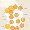 벚꽃공인중개사사무소 이미지