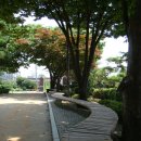 소화데레사유치원 이미지