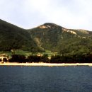 완도 맹선리 상록수림 이미지