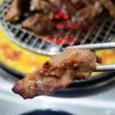 마포갈매기 - 마포구 도화길 48-21 | 마포갈매기