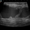 청주24시동물병원 이미지