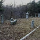 기준선생묘 Daum카페