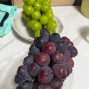 해찬농장 이미지