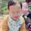 우리찬집 이미지