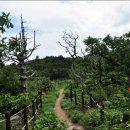 덕유산 꽃산행기(2)- 전주 덕진공원 연꽃자생지(사진89번~176번) 이미지