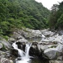 6월 정기산행(212차) - 소똥령 트레킹 &amp; 하늬 라벤더팜 이미지