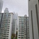 동탄방충망 시공사례 화성 동탄 시범다은마을메타역롯데캐슬아파트 미세방충망 교체후기