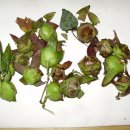 죽장휴게소 이미지