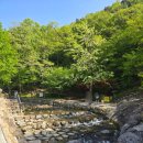 진밭골야영장 | 대구 진밭골 야영장, 오토캠핑장 카라반 후기｜1박 2일 가족캠핑 꿀팁 총정리