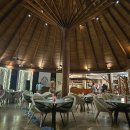 The Dinner | 오젠 라이프 마두 신혼여행 올인클루시브 식당 후기 | The Palms, Peking, M6m, Lonu, Gala Dinner show