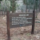 남해편백자연휴양림 이미지