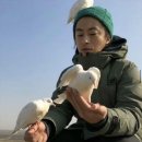 총총 이미지