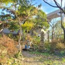 강미진공인중개사사무소 이미지