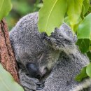 영인외과의원 이미지