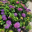 수희재한옥펜션 이미지