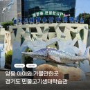 1448 | 양평 아이와 가볼만한곳｜무료 실내여행 경기도 민물고기생태학습관 후기
