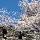 유구체육관 | 서울한양도성 둘레길 3구간 남산(목멱)구간 스탬프투어