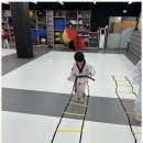 혁신 태권도 이미지