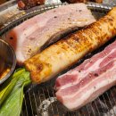 막창도둑 파동점 이미지