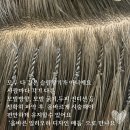 일리오하