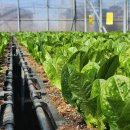 맘꽃가든 이미지