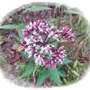 남산추어탕 이미지