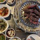 쿨쿨이와동부레기 이미지