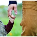 송주불냉면 이미지