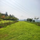 수목원파크 이미지