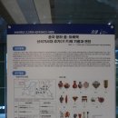 광주 여행 - ACC (아문당) 전시 후기 : 딜리버리 댄서의 선: 인버스 | 몬순으로 열린 세계